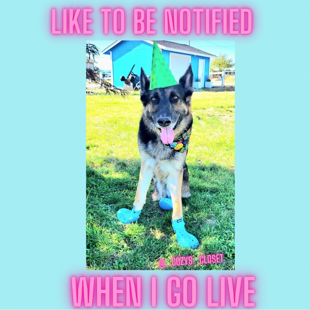 Like To Be Notified When I Go Live 🥳🫶🏻❤️